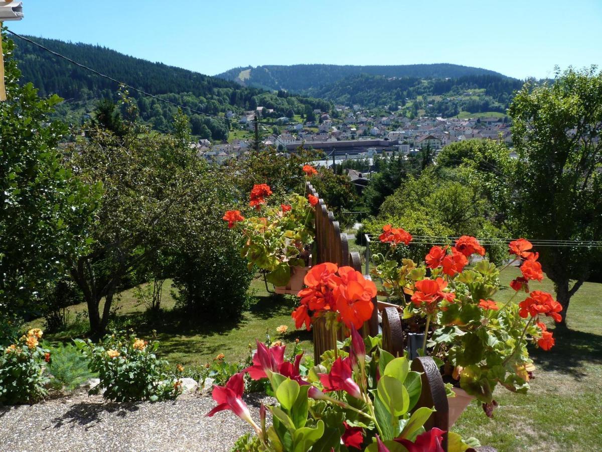 La Maison Bel'Air Gérardmer Exteriör bild